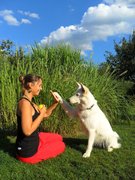 honden foto honden foto van Auratje