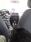 honden foto van Charlotte