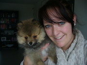 honden foto van Anke & Sam