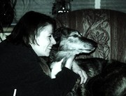 honden foto van jolique