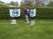 honden foto van angelique