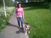 honden foto van ingrid desiree van der houven