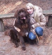 honden foto van Danissa