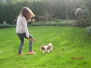 honden foto van Margit en Siem