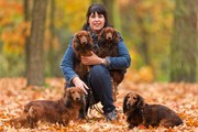 honden foto van Pieter en Angelita
