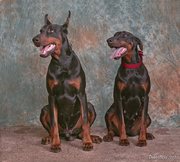 honden foto van Manal