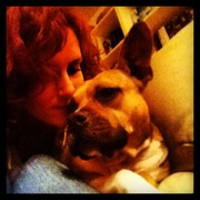 honden foto honden foto van Lisa