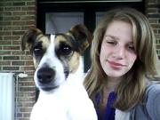 honden foto van Lincyke