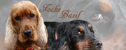 honden foto honden foto van Maudy
