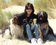 honden foto van yvonne