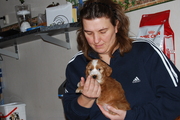 honden foto van Agaath 