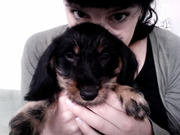 honden foto van Laura & Okkie