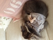 honden foto van Tamara