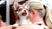 honden foto van Nona