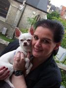 honden foto van giovanni