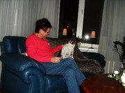 honden foto van moon