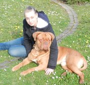 honden foto van kelly de roover