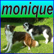 honden foto van monique