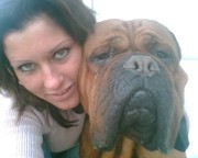 honden foto van Beauchamp