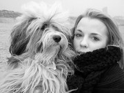 honden foto van Kim Van Heghe