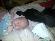 honden foto van Samantha