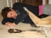 honden foto van judith schoorl