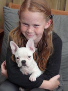 honden foto van vanderweij