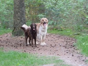 honden foto van Loes