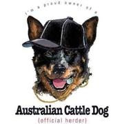 honden foto van dommel