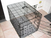 honden foto van ellen