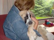 honden foto van willy