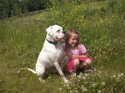 honden foto van KELLY