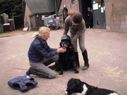 honden foto van Mara