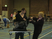 honden foto van astrid kamphuis