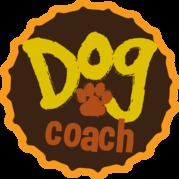 honden foto honden foto van D-coach