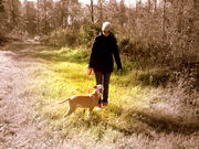 honden foto van Lucinda