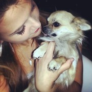 honden foto honden foto van Linda