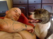 honden foto van John Don
