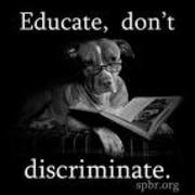 honden foto honden foto van liek