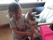 honden foto van Saskia Halkema