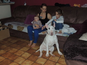 honden foto van spike