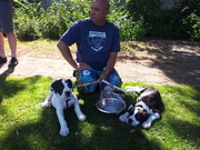 honden foto van De Loyale Hond