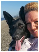 honden foto van Ninja