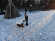 honden foto van Diego