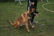 honden foto van SECUREQUIP4U