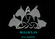 honden foto van Bullsclan