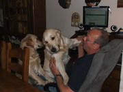 honden foto van jac  claes