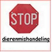 honden foto van johan