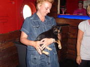 honden foto van Cisca