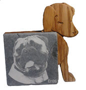 honden foto van J. Noteboom
